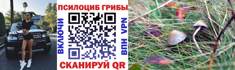 наркотики  Анадырь  блэк спрут зеркало  Псилоцибиновые грибы MAGIC MUSHROOMS 